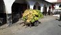 Stone Town - Carretto di banane